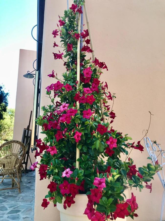 Le 25 Tartarughe Bed and Breakfast Santa Teresa Gallura Buitenkant foto