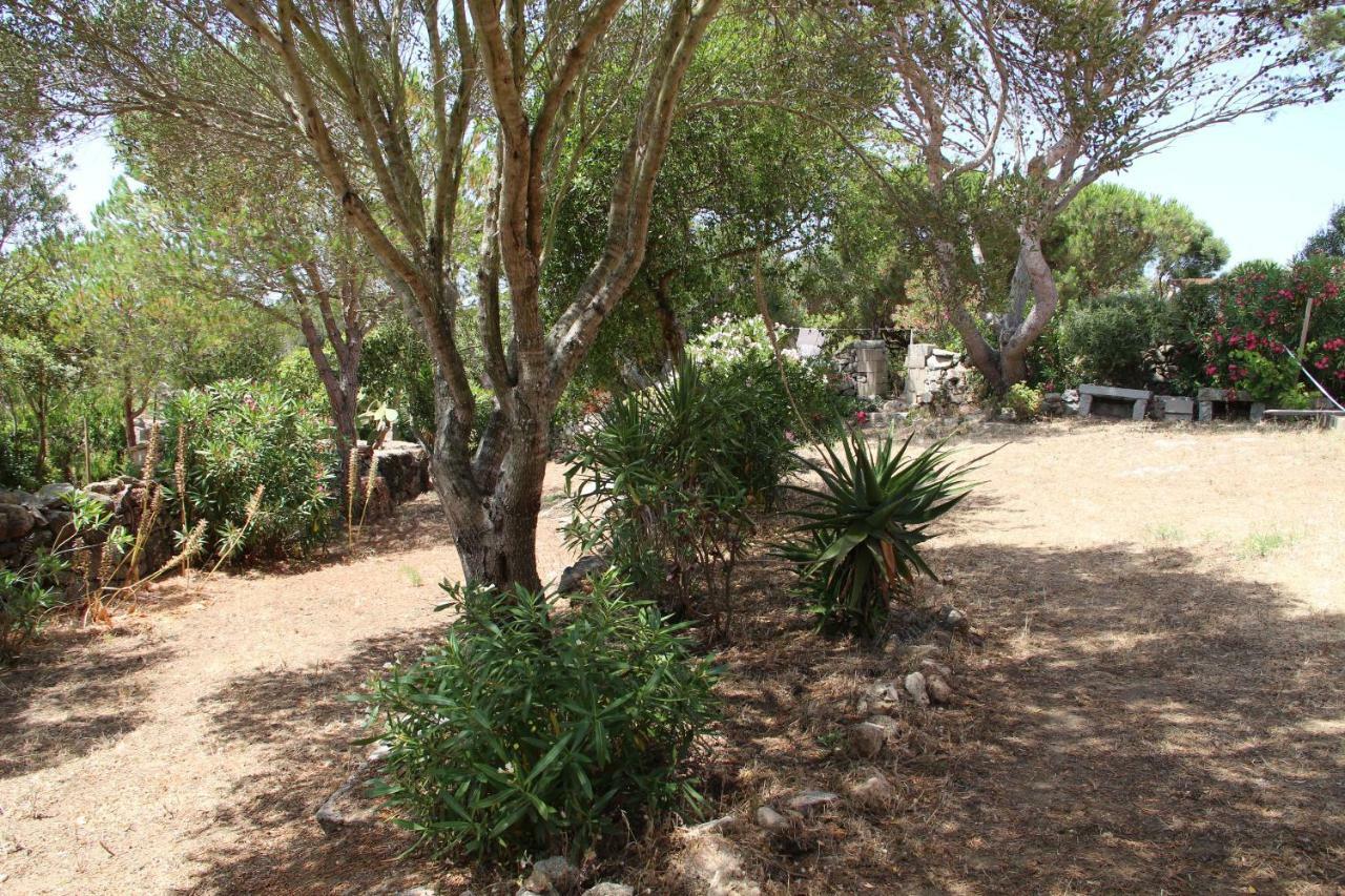 Le 25 Tartarughe Bed and Breakfast Santa Teresa Gallura Buitenkant foto