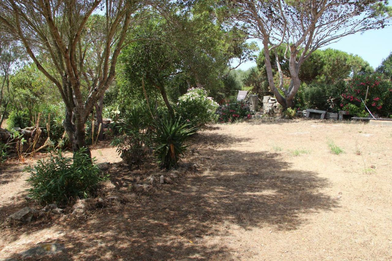 Le 25 Tartarughe Bed and Breakfast Santa Teresa Gallura Buitenkant foto