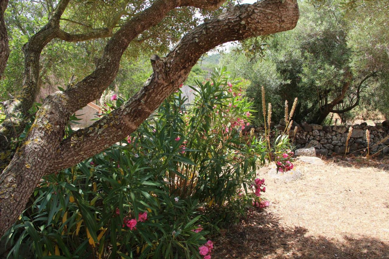 Le 25 Tartarughe Bed and Breakfast Santa Teresa Gallura Buitenkant foto