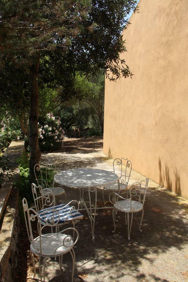 Le 25 Tartarughe Bed and Breakfast Santa Teresa Gallura Buitenkant foto
