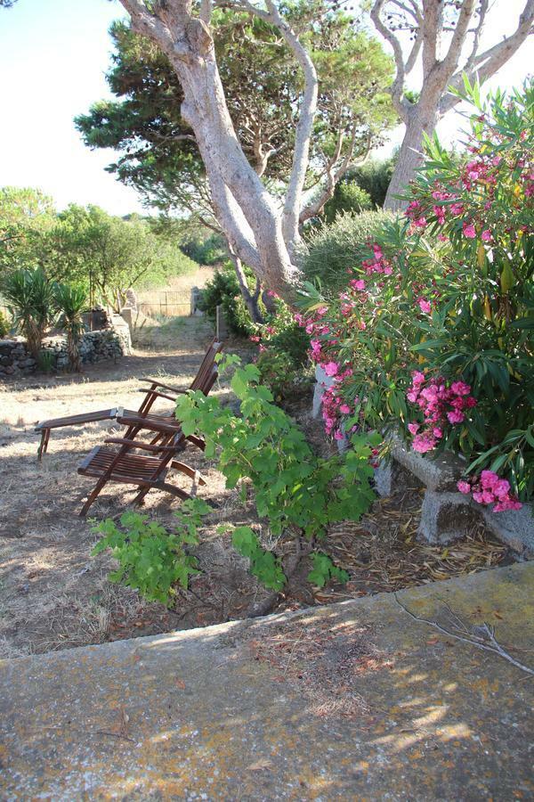 Le 25 Tartarughe Bed and Breakfast Santa Teresa Gallura Buitenkant foto