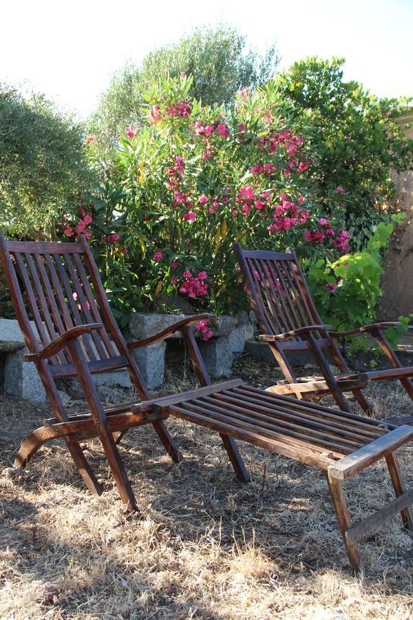Le 25 Tartarughe Bed and Breakfast Santa Teresa Gallura Buitenkant foto